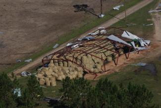 Damage to agriculture industry in Georgia because of Hurricane Michael