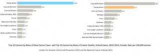 Trends in Female Breast Cancer Incidence Rate