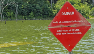 In June 2016 next to a Harsha Lake boat ramp in Ohio’s East Fort State Park