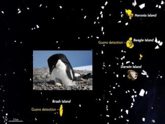 Adelie penguin and guano (poop) detection from the Landsat satellite. NASA AND HEATHER LYNCH/STONY BROOK UNIVERSITY