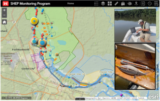 The SHEP monitoring software used in real time