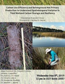 Phd research proposal geology