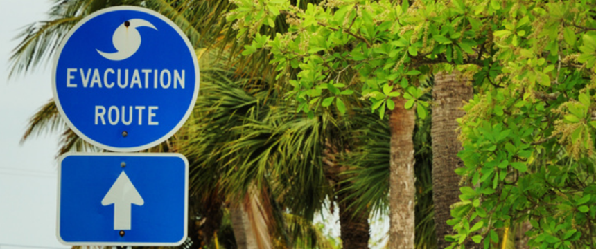 Stock image of a hurricane evacuation sign in front of trees