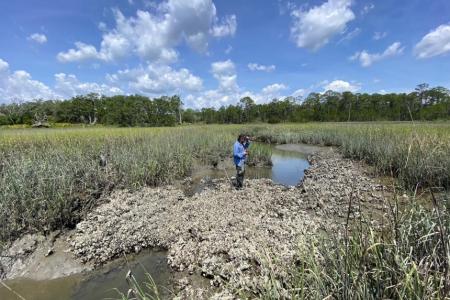 Shell to Shore’s Shell Recycling Coordinator, Malcolm Provost, assessing possible restoration sites in Sapelo Island’s Big Hole Marsh.