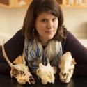 Dr. Birch poses with animal skulls 